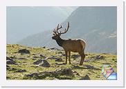 Estes Park & RMNP with Sherman & Diana July 2009 * (161 Slides)